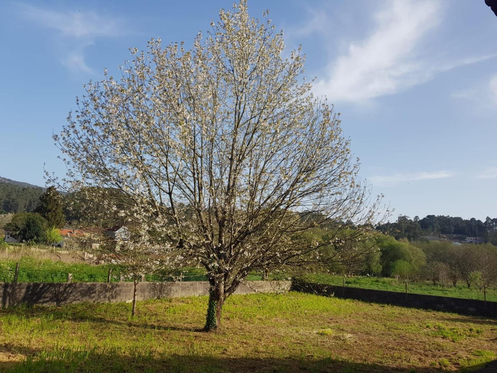 Casa La Porrinesa Villa Porriño Eksteriør bilde